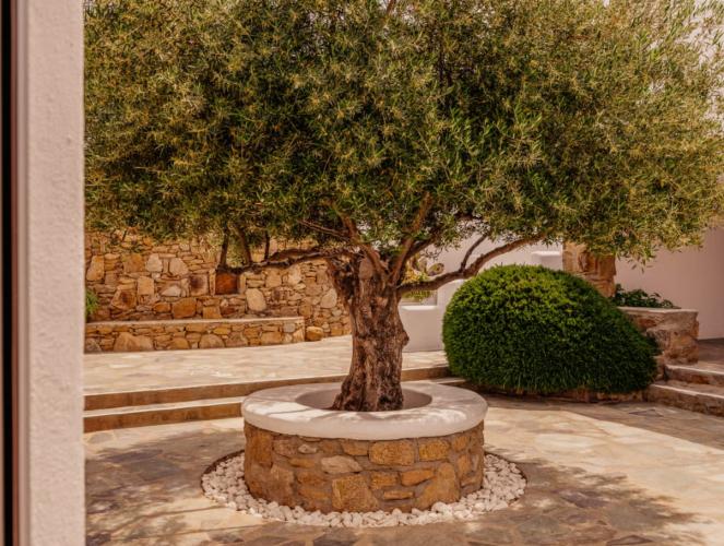 Soho Roc House Mykonos Hotell Paraga  Rom bilde
